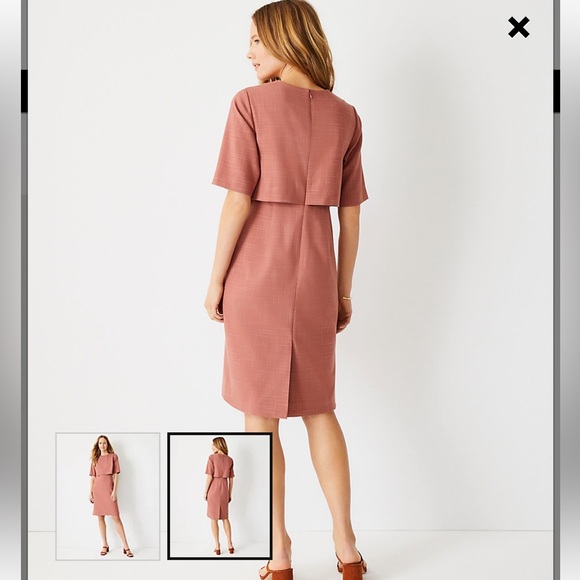 The Petite Elbow Sleeve Overlay Sheath Dress in Crosshatch Ann Taylor - Picture 2 of 4